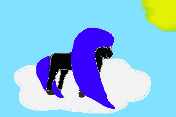 Pony