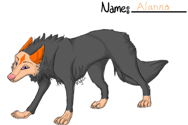 Alanna the wolf