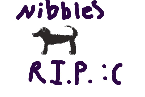 RIP, Nibbles :(