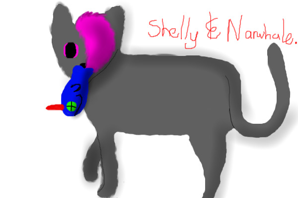 Shelly and Narwhale 2