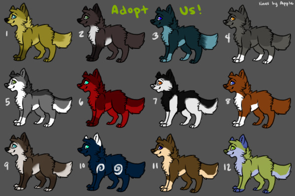 Pups up for Adoption!!