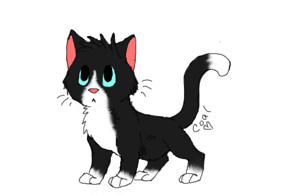 brightpaw!
