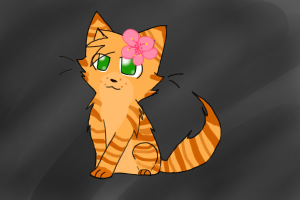 CAVE CAT #2: Coffee{Owned by Sunnyleaf15}