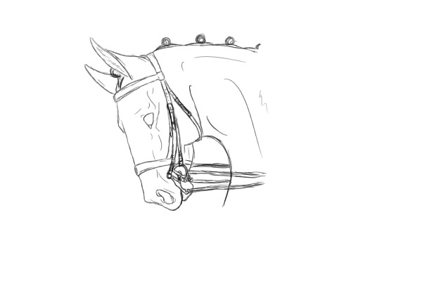 detailed dressage horse sketch