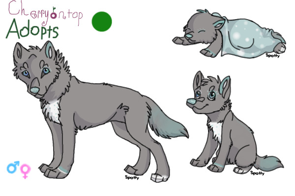 Premade adoptable