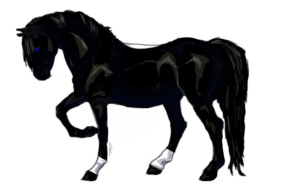 Night- Horse