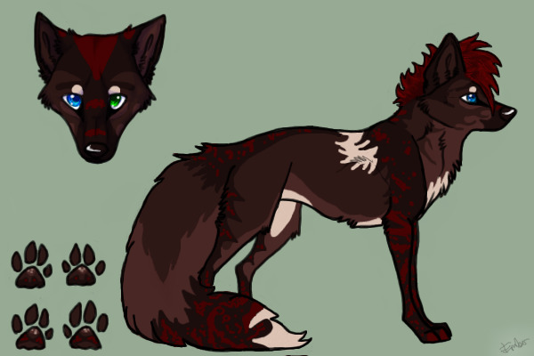 Wolf Contest Entry♥
