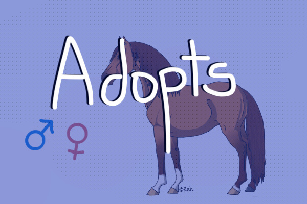Equine Adopts