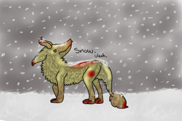 it doesn't snow here.