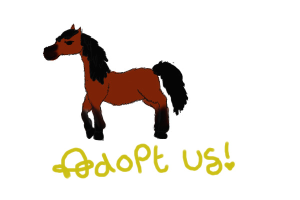 scruffy ponies: main thread