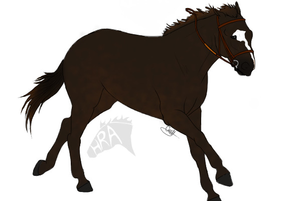 Liver Chestnut Stallion