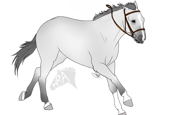 Grey-adopted