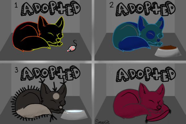 Yayzzz! We all adopted!