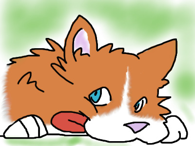 CORGI!!!