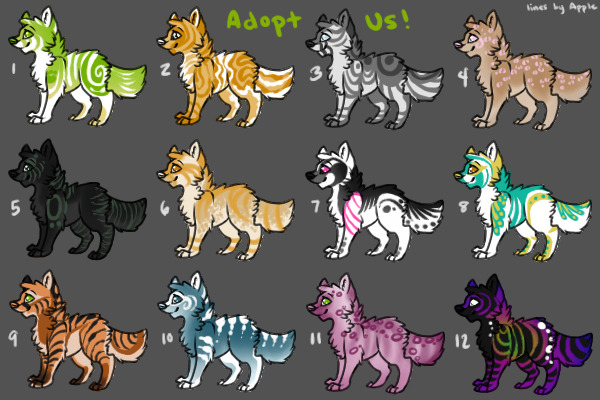 Canines For Offer!