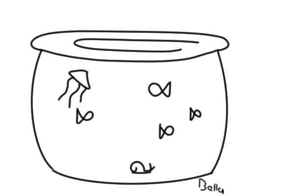 whats in the fishy tank?!???OVER