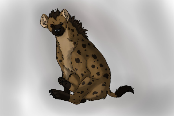 Hyena Editable