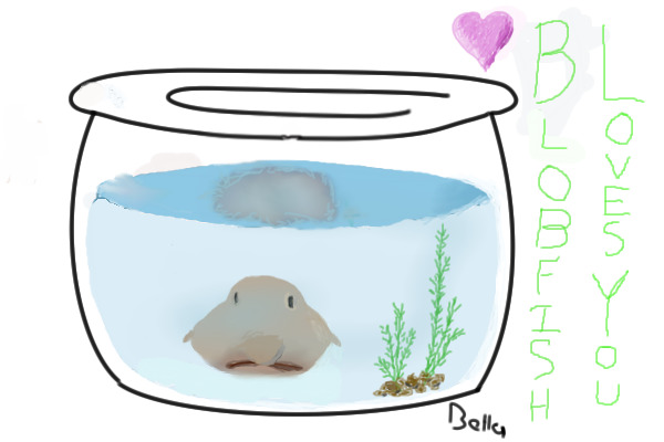 mah subbmission to fishbowl contest