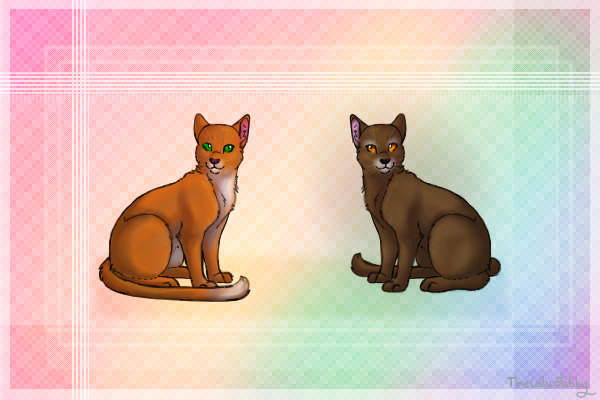 Gingertail and Barktail