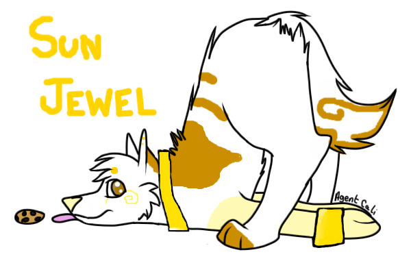 Sunjewel Dog