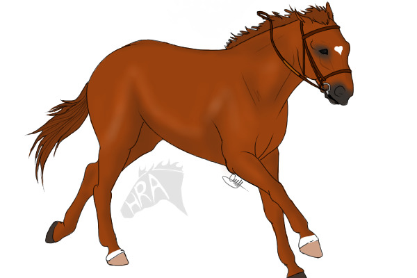 HRA: chestnut mare w/ heart marking