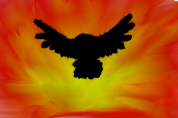 Flaming Bird