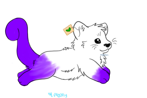 Random design?