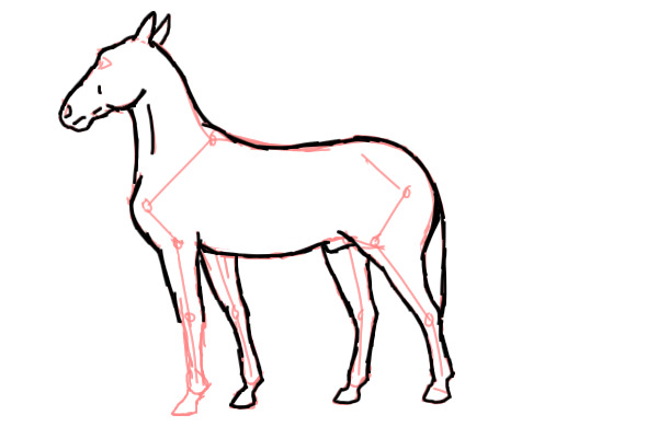 Horse sketch...wip