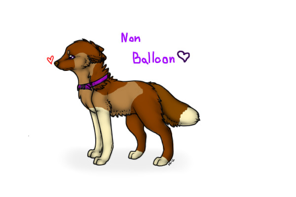 Non Balloon