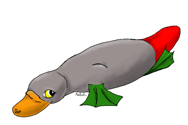 Platypus 2