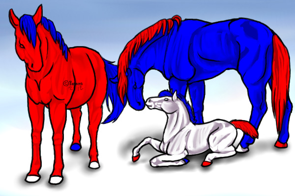 Red White and Blue horses