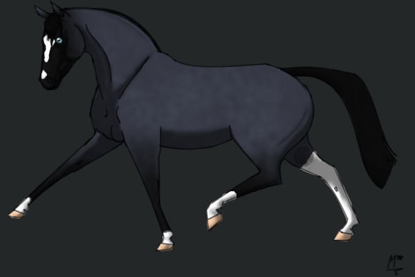 Blue Roan Holsteiner