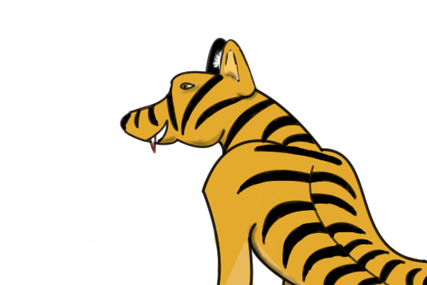 tiger