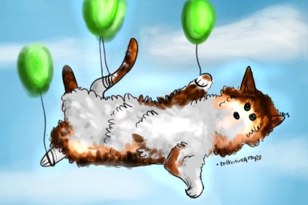 Flying cat