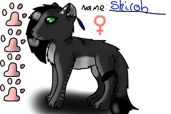 Shiloh's Reference