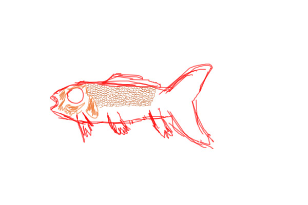 fish
