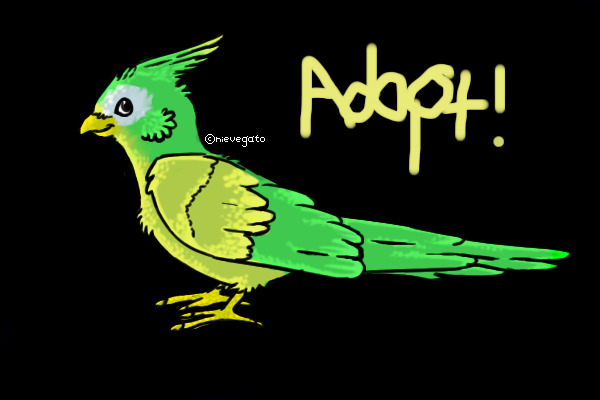 adopt the bird