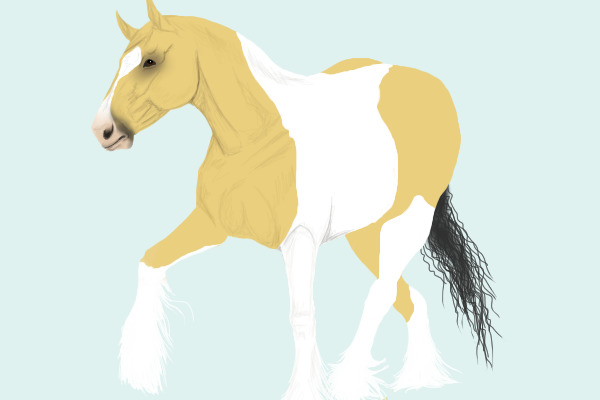 Pixi WIP
