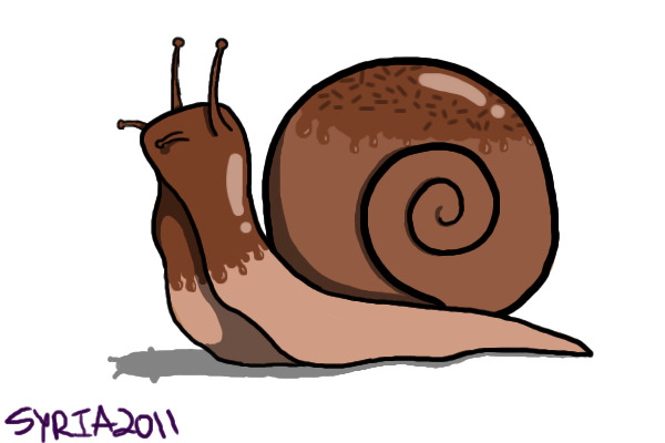 Chocolate snail!