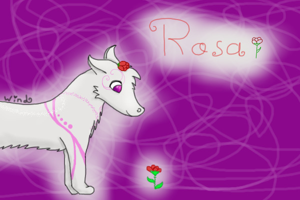 Rosa with a Rose