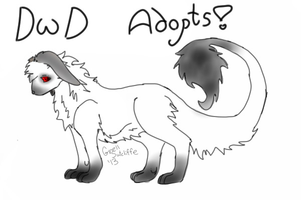 Dwarf Rabbit Dragon Adoptions!