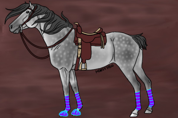 dapple grey western horse