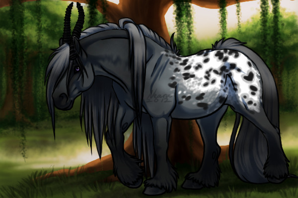 BK: Blanket Appaloosa