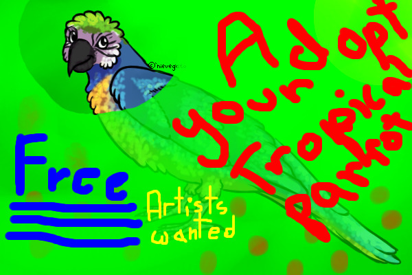 Free tropical parrot adopts!