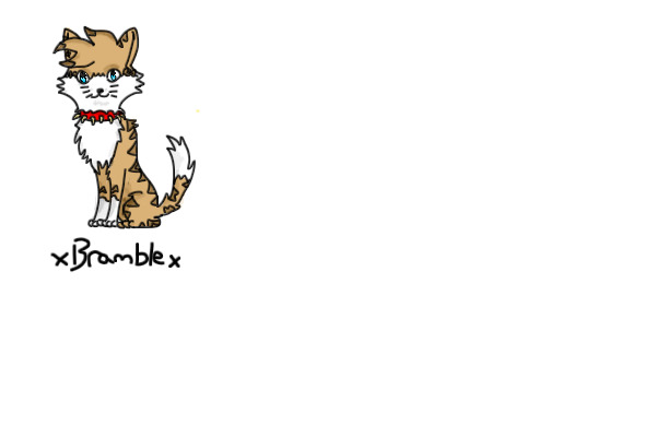 X Bramble X