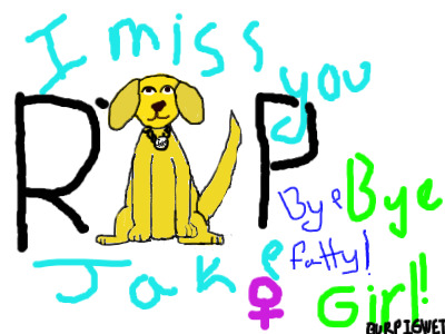 Rip my dog picture for contest
