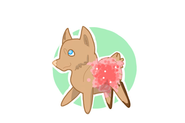 Cherry Blossom
