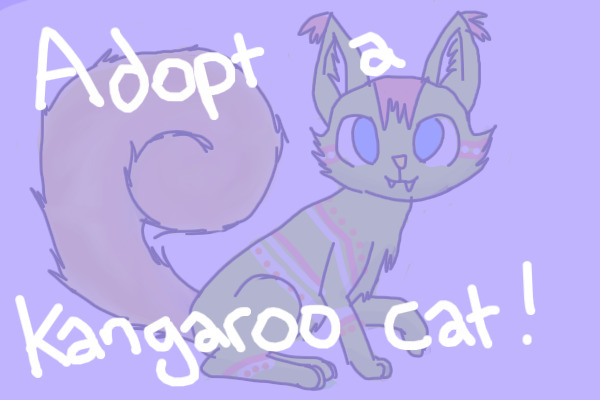 Kangaroo Cat adoption centre *Free!*