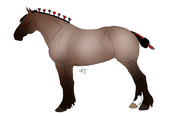 VDH #4 Red Roan Mare