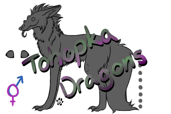 Tohopka Dragons